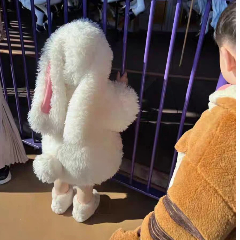 Girls Lovely Cartoon Plush Rab - огляд і ціна Anime Cosplay Bunny